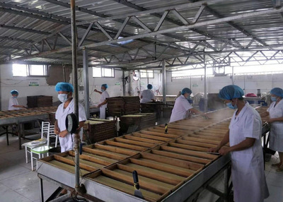 聚焦農(nóng)村發(fā)展，食品技術(shù)研發(fā)助力鄉(xiāng)村振興