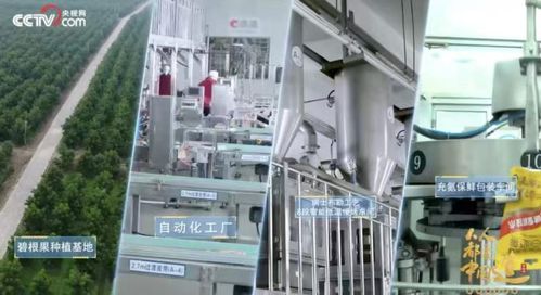 洽洽食品2024年首季業績亮眼 場景與渠道創新驅動收入利潤雙增