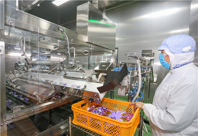 東元空調(diào) 以精密環(huán)境控制，賦能食品技術(shù)開(kāi)發(fā)與安全生產(chǎn)